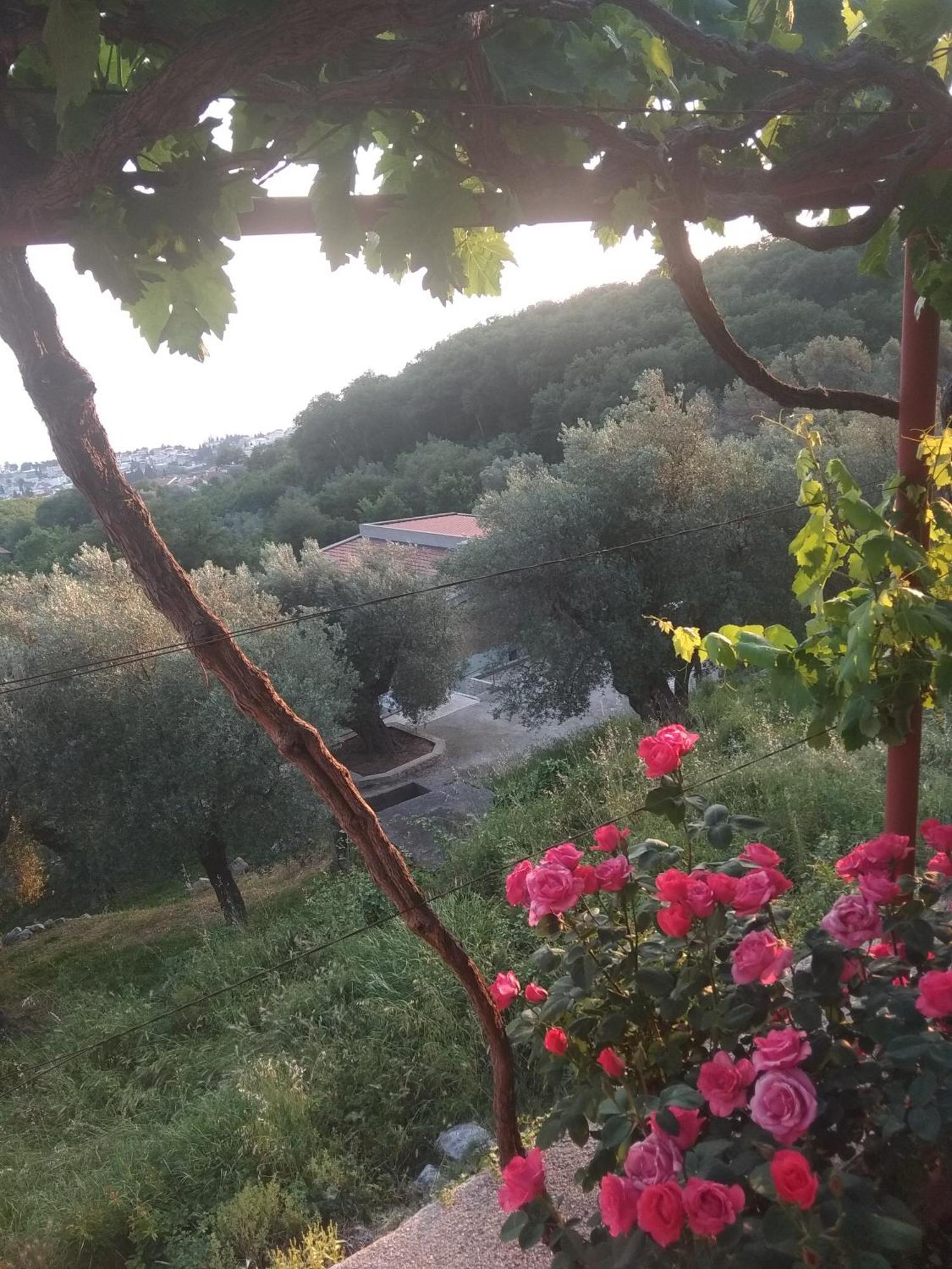 Apartman "Marko" Bar Buitenkant foto