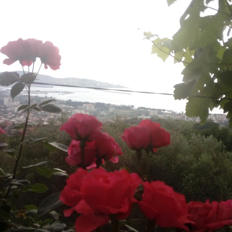 Apartman "Marko" Bar Buitenkant foto